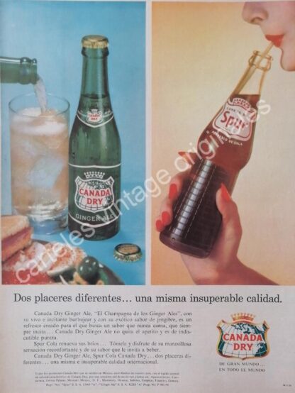 CARTEL ANTIGUO ORIGINAL DE REFRESCO CANADA DRY. SPUR Y GINGER ALE 1959