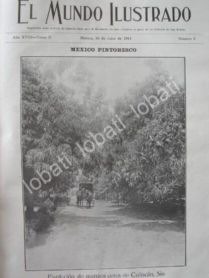 PORTADA ANTIGUA ORIGINAL  1911 PLANTACION DE MANGOS CULIACAN SINALOA /LDM