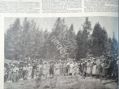 CARTEL ANTIGUO ORIGINAL DE FIESTA DE ARBOLES EN PACHUCA 1898 REFORESTACION - Imagen 2