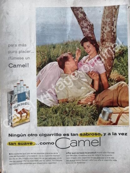 CARTEL ANTIGUO ORIGINAL DE CIGARROS CAMEL 1950s / 10