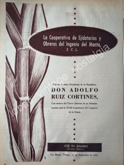 CARTEL ANTIGUO ORIGINAL DE COOPERATIVA INGENIO DEL MANTE 1955 DIBUJO DE LUIS AMENDOLLA