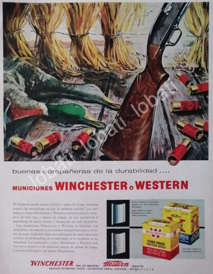 CARTEL ANTIGUO ORIGINAL DE CARTUCHOS O MUNICIONES WINCHESTER 1950s /95 ( ARMAS )