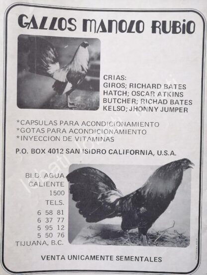 CARTEL ANTIGUO ORIGINAL DE GALLOS DE PELEA MANOLO RUBIO 1970s /257