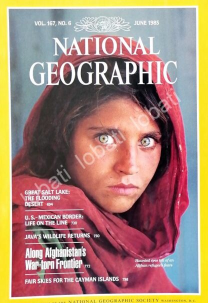 CARTEL ANTIGUO ORIGINAL DE ICONICA PORTADA ANTIGUA NATIONAL GEOGRAPHIC 1985