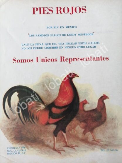 CARTEL ANTIGUO ORIGINAL DE CRIADERO DE GALLOS DE PELEA " PIES ROJOS " 1978 /444