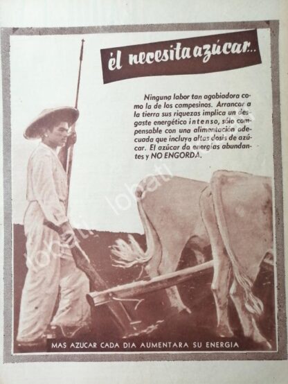 CARTEL ANTIGUO ORIGINAL DE CAMPAÑA NACIONAL DE CONSUMO DE AZUCAR 1955 / 388