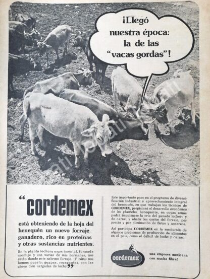 CARTEL ANTIGUO ORIGINAL DE FORRAJE Y ALIMENTO PARA GANADO CORDEMEX S.A /577 RARO