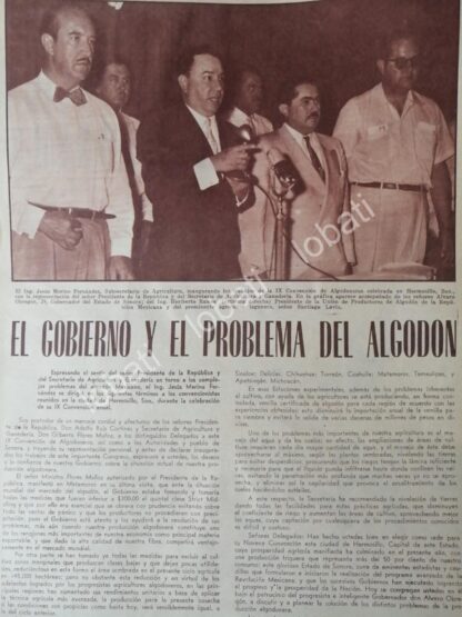 CARTEL ANTIGUO ORIGINAL DE ALVARO OBREGON JR. Y ALGODONEROS DE SONORA 1956 - Imagen 4