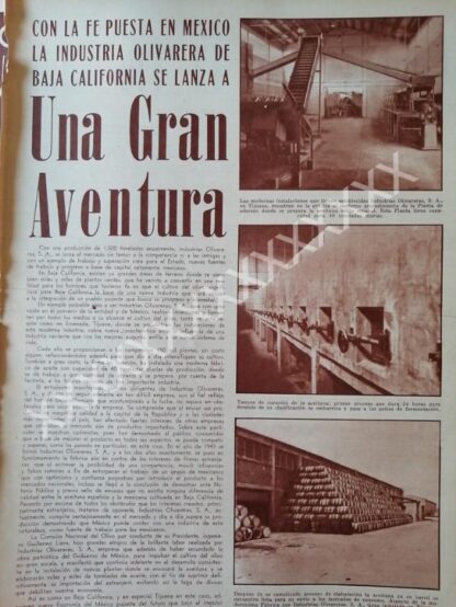 CARTEL ANTIGUO ORIGINAL DE , LA INDUSTRIA OLIVARERA B. CALIFORNIA 1959