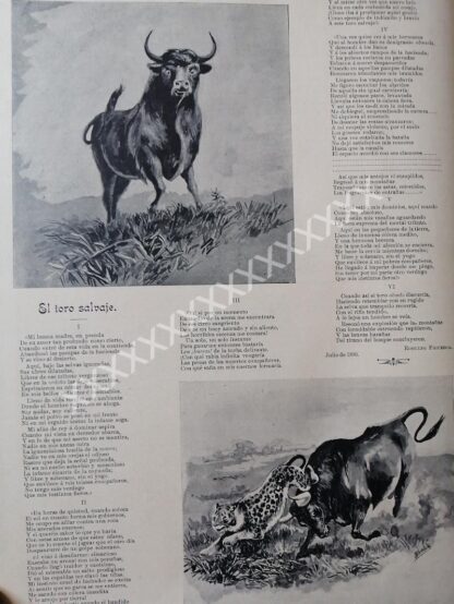 CARTEL ANTIGUO. POEMA AL TORO, DE RUDOLFO FIGUEROA 1896