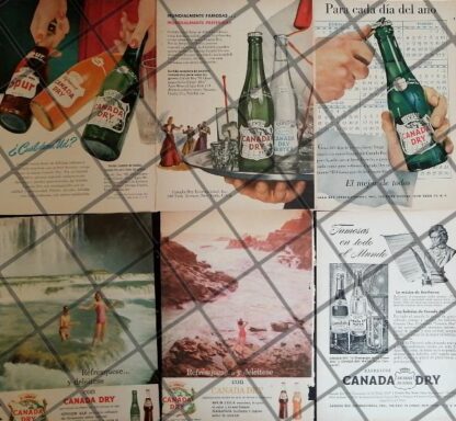 6 CARTELES ANTIGUOS REFRESCOS CANADA DRY 1950s /340