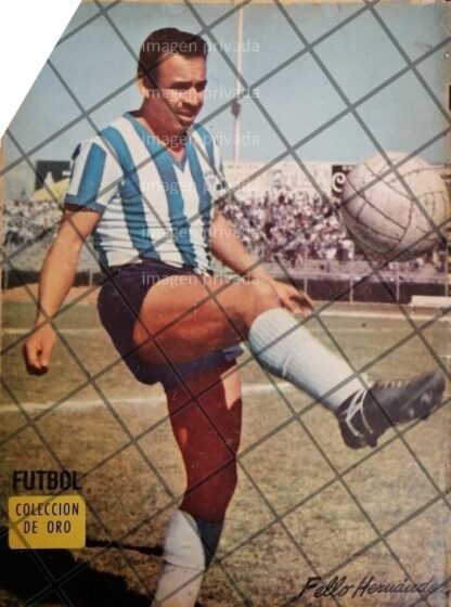 AFICHE RETRO FUTBOLISTA ALFREDO "FELLO" HERNANDEZ 1963