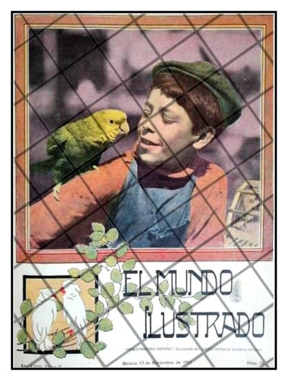 PORTADA ANTIGUA 1911 NIÑO Y PERICO