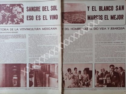 NOTA PRENSA ANTIGUA 1967 VIÑEDOS SAN MARCOS