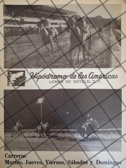 AFICHE ANTIGUO CAMPEONATO NAC. SALTO DE OBSTACULOS 1983 - Imagen 2