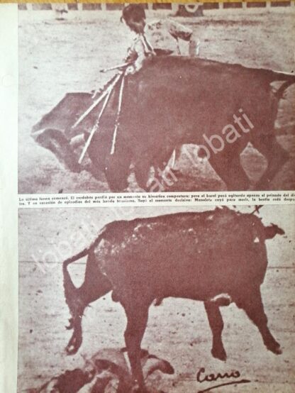 CARTEL ANTIGUO ORIGINAL DE ULTIMA CORRIDA Y MUERTE DE MANOLETE 1947 / TOROS /FEP - Imagen 2