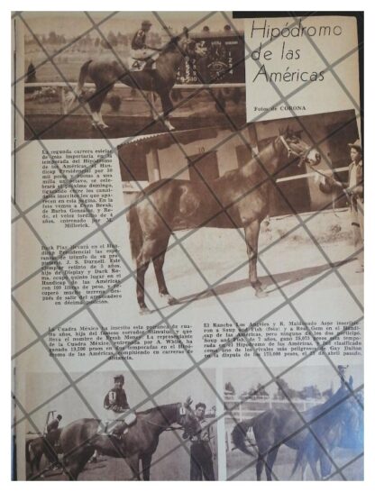 AFICHE RETRO HIPODROMO DE LAS AMERICAS HANDICAP PRESID.