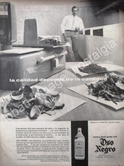 CARTEL ANTIGUO ORIGINAL DE GINEBRA OSO NEGRO 1959 /V284