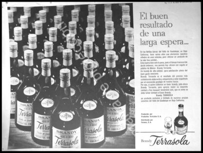 CARTEL ANTIGUO ORIGINAL DE BRANDY TERRASOLA 1967 / RARO