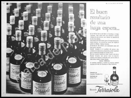 CARTEL ANTIGUO ORIGINAL DE BRANDY TERRASOLA 1962 -2 / RARO