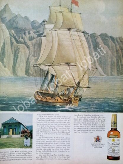 CARTEL ANTIGUO ORIGINAL DE VINOS WHISKY CANADIAN CLUB 1950s /495