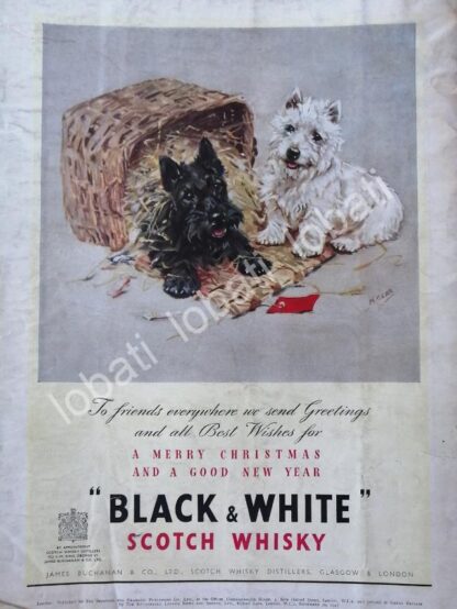 CARTEL ANTIGUO ORIGINAL DE VINOS. WHISKY BLACK & WHITE 1947 /585 MUY RARO